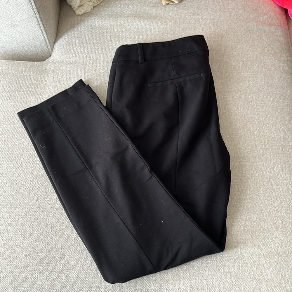 Express dress pants